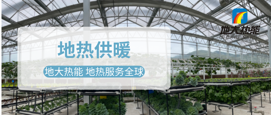 發揮地熱資源優勢，地熱農業實現花卉產業特色發展 | 地大熱能 地熱服務全球